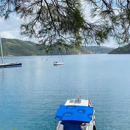 Dom wakacyjny Arzu *