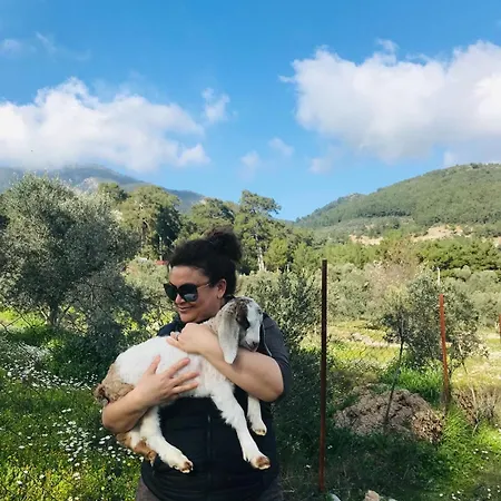 Arzu Dom wakacyjny Fethiye