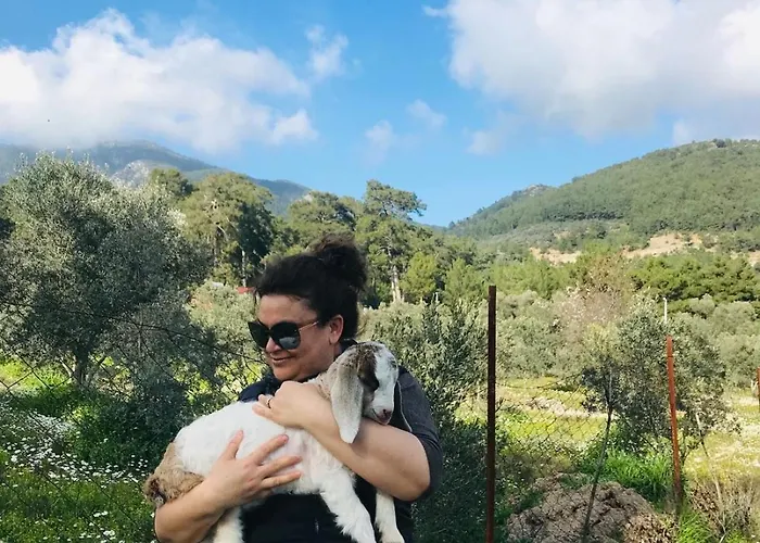 Arzu Prázdninový dům Fethiye